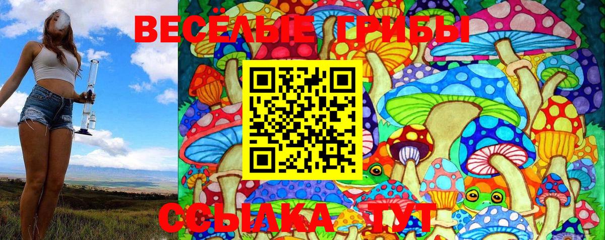 Галлюциногенные грибы Cubensis Муравленко