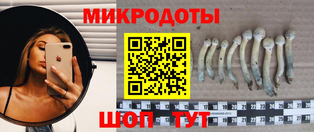 Муравленко  Псилоцибиновые грибы ЛСД  Вход с VPN 